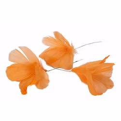 Fjäderblommor Orange (Frakt 10.00)