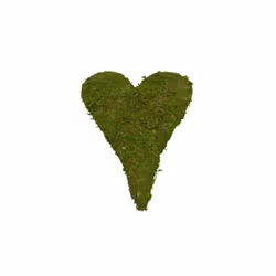 Mosshjärta Rakt 26cm