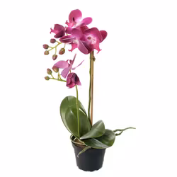 Konstgjord Phalaenopsis Lila