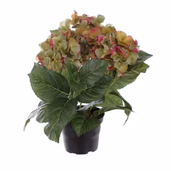 Konstgjord Hortensia 30cm Grön