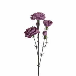 Elegance Nejlika 65cm Lila