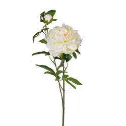 Konstgjord Pion 60 cm Vit