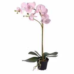 Konstgjord Phalaenopsis Ljus Rosa 55cm