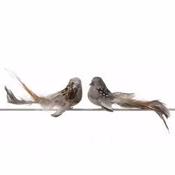 Fågel clip Fluffy 2-pack