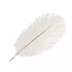 Strutsfjäder 35cm Vit