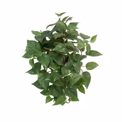 Konstgjord ampelväxt, Gullranka 25 cm