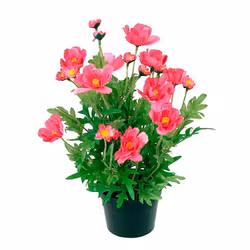 Konstgjord Rosenskära Rosa 30cm