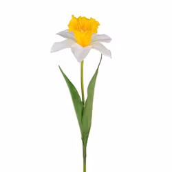 Konstgjord Pingstlilja 60cm