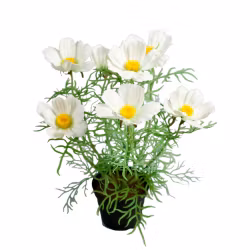 Konstgjord Rosenskära Vit 40cm