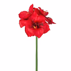 Konstgjord Amaryllis Röd