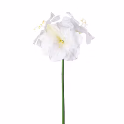 Konstgjord Amaryllis Vit