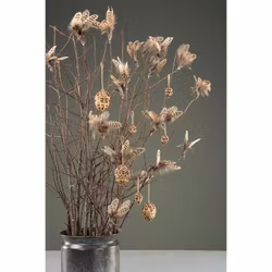 Ägg Fjäder Rand12-pack