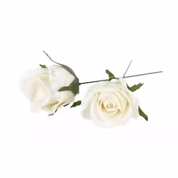 Ros creme 5cm vattenfast 2-pack