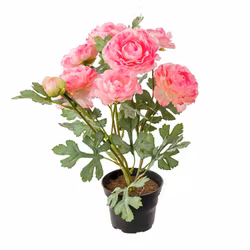 Konstgjord Ranuncel 30cm Rosa