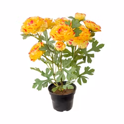 Konstgjord Ranuncel 30cm Orange