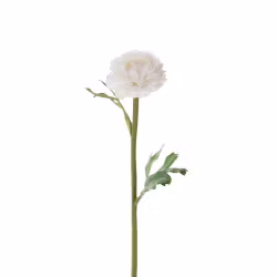 Ranuncel 35cm Vit