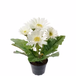 Konstgjord Gerbera Vit 30cm