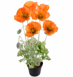 Konstgjord Vallmo Orange 45cm