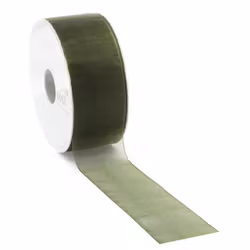 Band 25mm Organza Grön 5meter