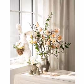 Fjäderblomma Med Clip Aprikos