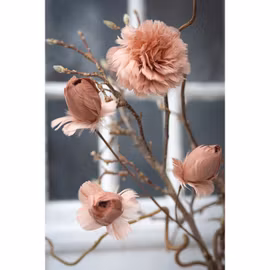 Fjäderblomma Med Clip Mullvad