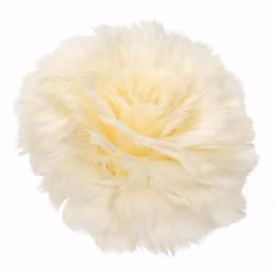 Fjäderblomma Med Clip Vanilj