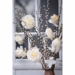 Fjäderblomma Med Clip Vanilj