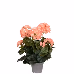 Konstgjord Pelargon Persika