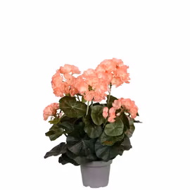 Konstgjord Pelargon Persika