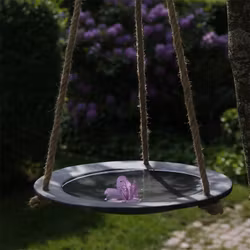 Fågelbad Talgoxe 32cm