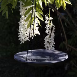 Fågelbad Gråsparv 22cm