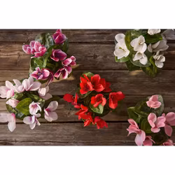 Konstgjord Cyklamen 22 cm Vit-Rosa