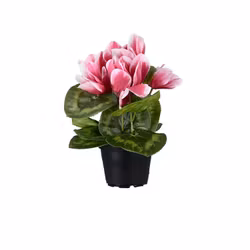 Konstgjord Cyklamen 22 cm Rosa