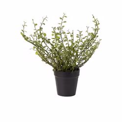 Konstgjord Muehlenbeckia 25cm