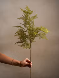 Konstgjord Asparagus 70cm