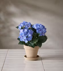 Konstgjord Hortensia 30cm Blå