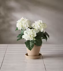 Konstgjord Hortensia 30cm Vit