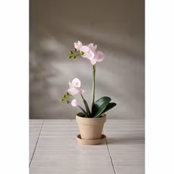 Konstgjord Phalaenopsis Rosa