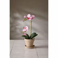 Konstgjord Phalaenopsis Lila spräcklig