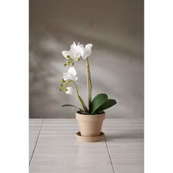 Konstgjord Phalaenopsis Vit