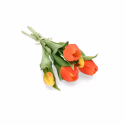 Verklighetstrogen tulpanmix  5-pack Orange