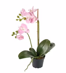 Konstgjord Phalaenopsis Rosa