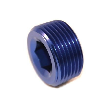 Insexplugg - 1" NPT