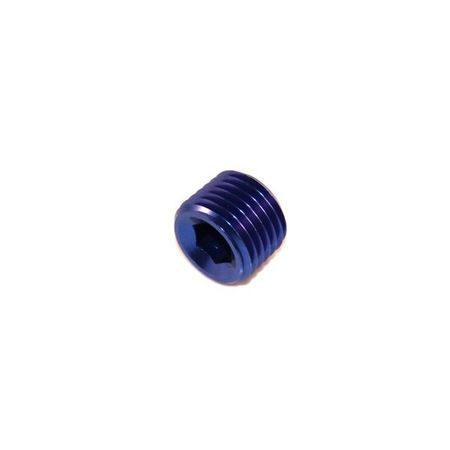 Insexplugg - 1/8" NPT