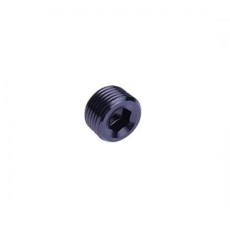 Insexplugg - 1" NPT (Svart)