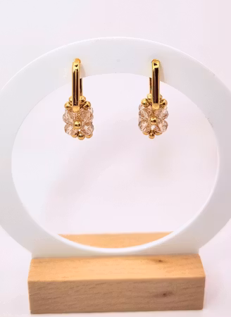Elegant Øredobber – Champagne Bloom