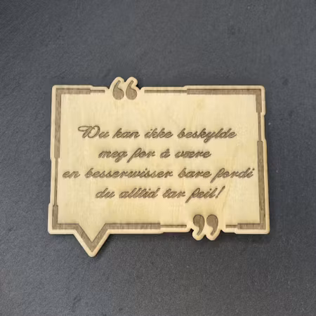 Magnet - "Besserwisser" - Sitat