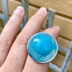 Ring virvlar