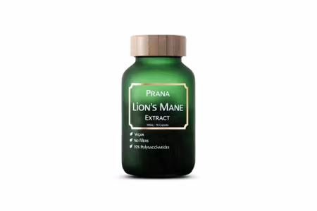 Lion's Mane