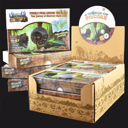 Fossiler - FOSSILS FROM AROUND THE WORLD